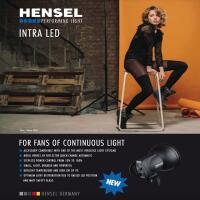 Hensel Intra LED 5