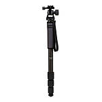Induro GIM304L Grand Induro Monopod w/TH2 Head 0