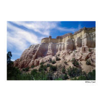 Harman Phoenix II 24 Exposures 3