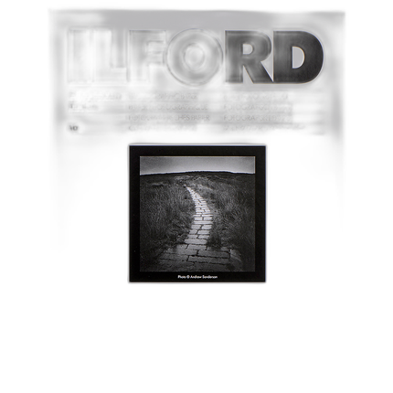 Ilford Multigrade FB Classic Paper (Glossy, 11x14, 10 Sheets)