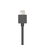 Insta360 ONE R Lightning Cable 1