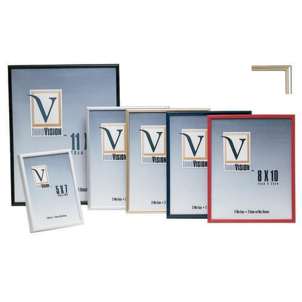 Innovision 16X20 Gold Format Frame