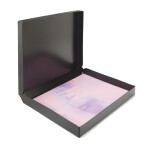Itoya ProFolio Archive-All Storage Box 14x17 - art size 3