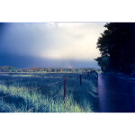 KONO! Delight Art 100 ISO - 120 size 4