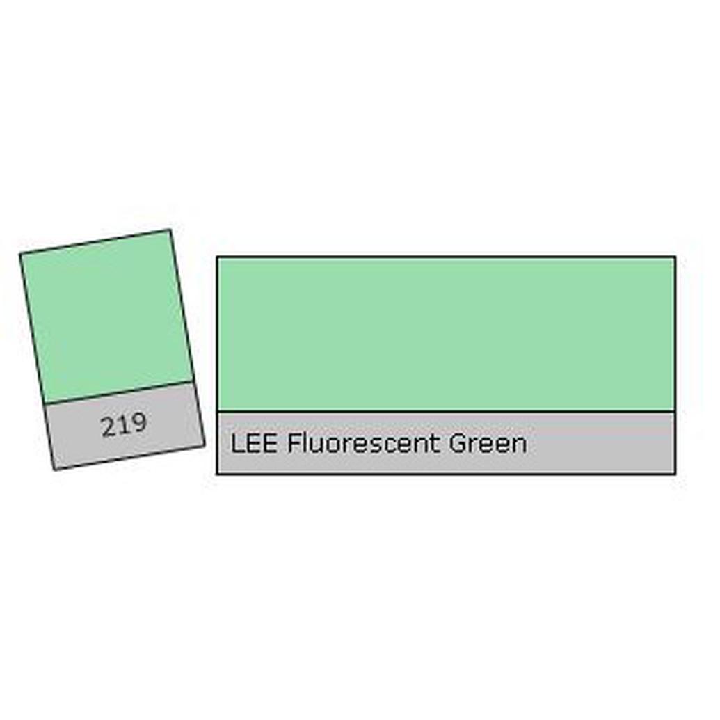 LEE Filters Fluorescent Green Lighting Correction Gel Filter