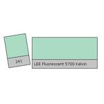 LEE Filters Fluorescent 5700k Lighting Correction Gel Filter 0