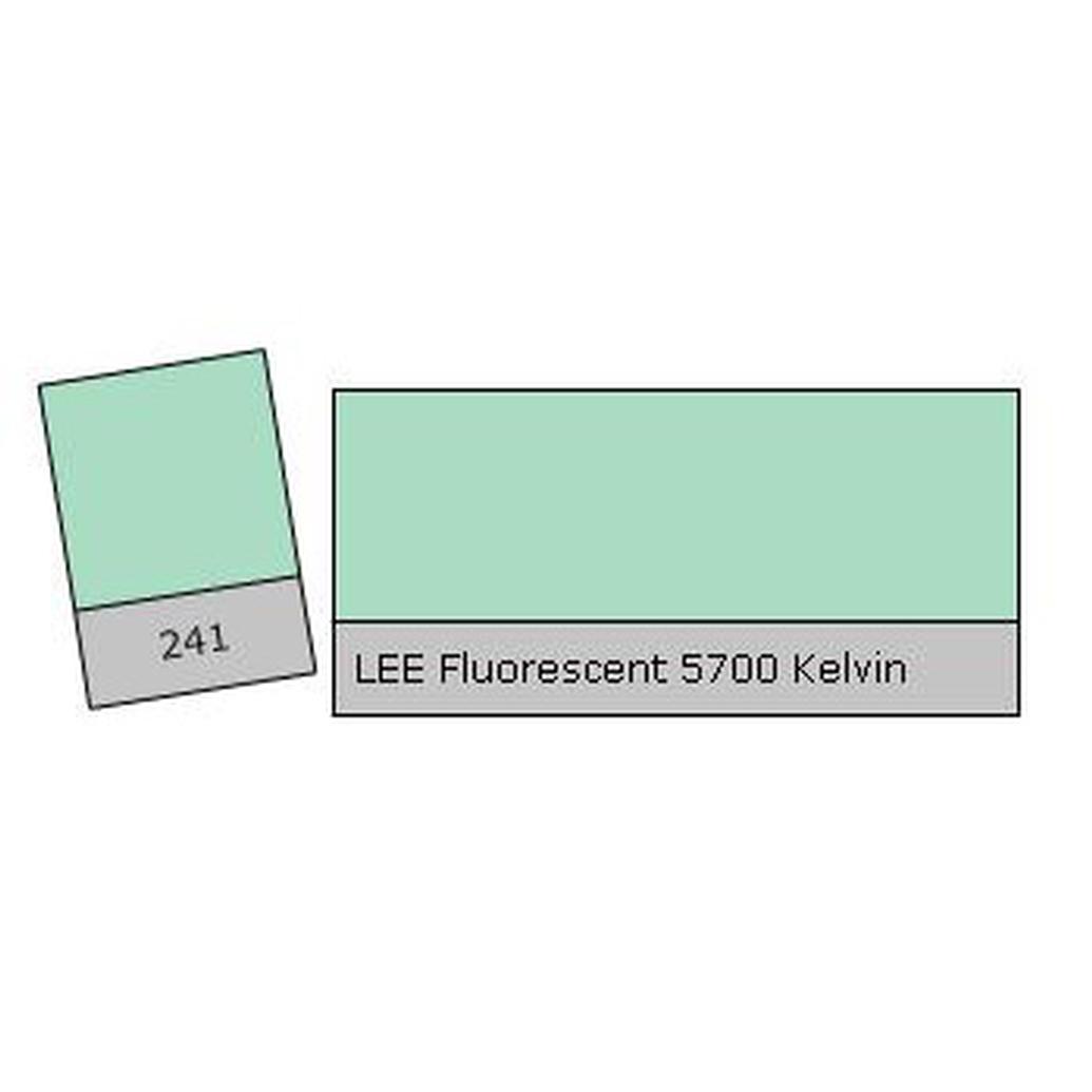 LEE Filters Fluorescent 5700k Lighting Correction Gel Filter