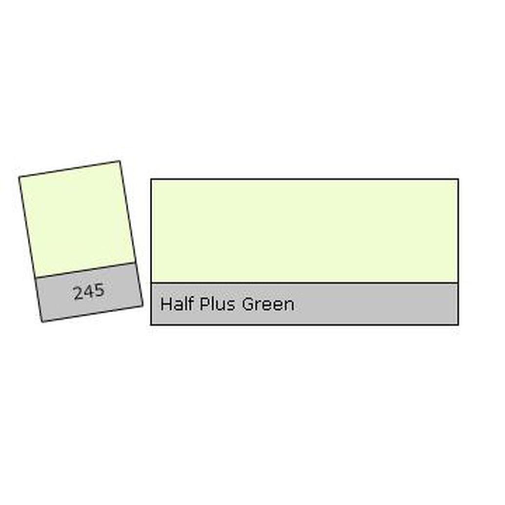 LEE Filters 21 X 24 Inch Sheet 1/2 Plus Green Lighting Correction Gel Filter