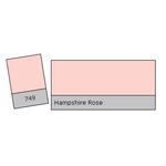 LEE Filters Hampshire Rose Lighting Effects Gel Filter 0