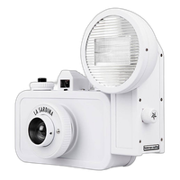 Lomography La Sardina and Flash - Diy 1