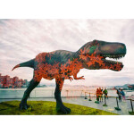 LomoApparat 35MM Film Camera with 21mm Wide-angle lens 8