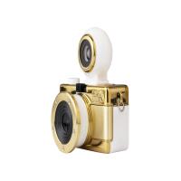 Lomography Fisheye Baby 110 Film Camera (Gold Edition) 2
