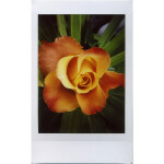 Lomo Instant Automat Glass Assemble Configure Edition 3