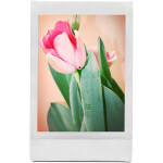 Lomography Lomo Instant Songs Palette Edition Camera Combo 2