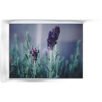 Lomo Instant Automat Sundae Kids Edition Combo 3