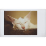 Lomo Instant Automat Sundae Kids Edition Combo 5