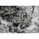 Lomography Orca 110 Black and White Single Pack 2