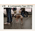 Lomography Color Tiger 110 200 ASA Single Pack 3