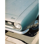 Lomography Color Tiger 110 200 ASA 3 Pcs 4