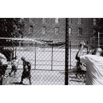 Lomography Earl Grey 100 ASA 3 Pcs 35mm 2