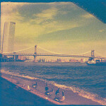 Lomography Color Lobster 110 200 ASA Single Roll 2