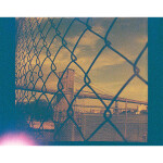 Lomography Color Lobster 110 200 ASA Single Roll 4