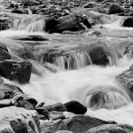 Lomography Lady Grey 400/120 3 Pcs 3