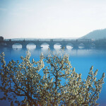 Lomography Color Negative 400/120 3 Pcs 2