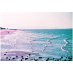 Lomography LomoChrome Purple Petillant Edition ISO 100-400 (35mm Roll) 6