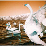 Analogue Trio Mixed Film Pack 35 mm 3