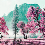 Analogue Trio Mixed Film Pack 35 mm 8