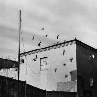 Permanent Drift - John Waller 1
