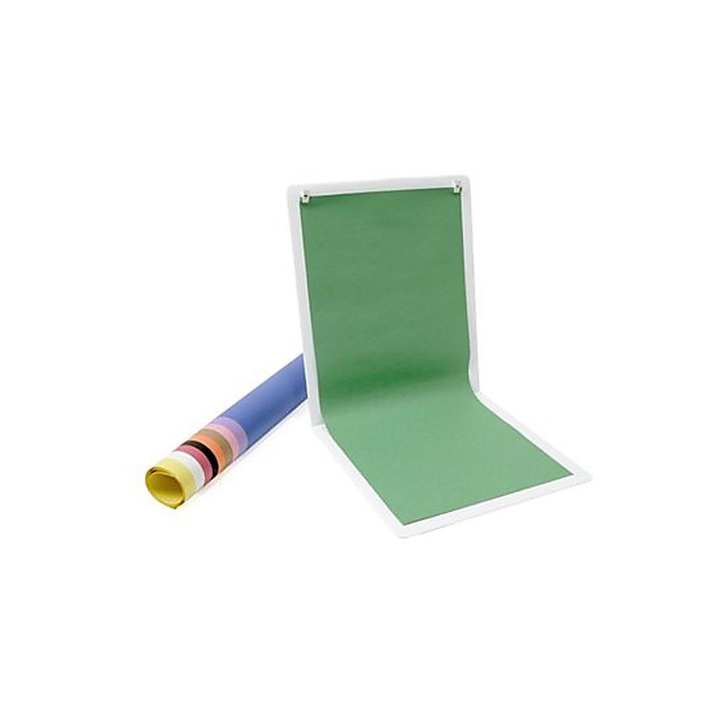 Lowel E1-20 Ego Sweep Background