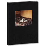 Alec Soth - Niagara 0