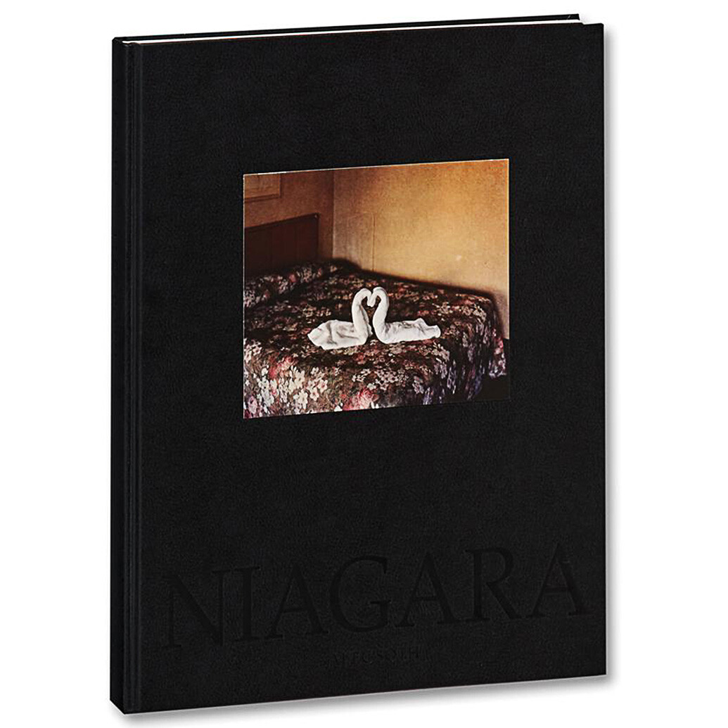 Alec Soth - Niagara
