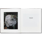 Irina Rozovsky - In Plain Air 1