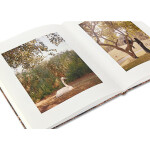 Irina Rozovsky - In Plain Air 2