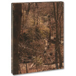 Irina Rozovsky - In Plain Air 3