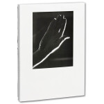 Sam Contis / Dorothea Lange - Day Sleeper 2