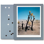 Gregory Halpern - ZZYZX 1