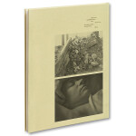 Raymond Meeks - ciprian honey cathedral 2