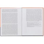 Brad Feuerhelm - Dein Kampf 2