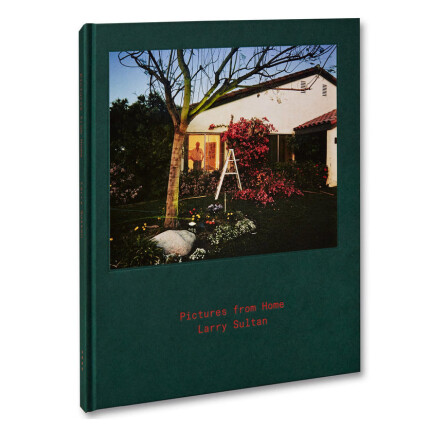 Pictures From Home - Larry Sultan