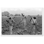 A Civil Rights Journey - Doris Derby 1