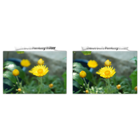 Marumi 49mm DHG Soft Fantasy Filter 1