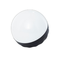 Nanlite LitoLite 5C Bulb Diffuser 0