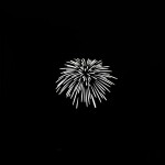 Nanlite Forza 60/60B Projector Mount Gobo Set 2 7