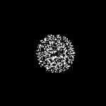 Nanlite Forza 60/60B Projector Mount Gobo Set 2 10