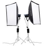 Nanlite FC-300B Spotlight 2-Light Kit with Rolling Case 1