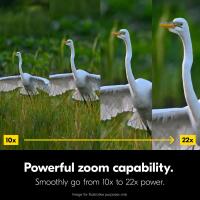 Nikon 10-22x50 Action Binoculars 2
